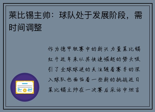 莱比锡主帅：球队处于发展阶段，需时间调整